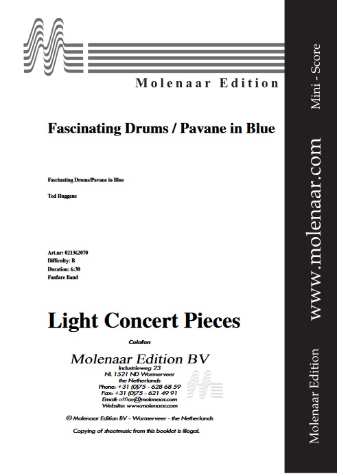 Fascinating Drums - hacer clic aqu�