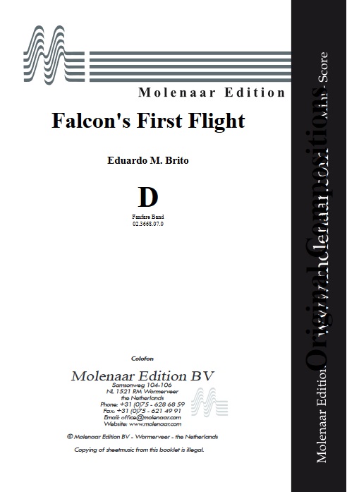 Falcon's First Flight - hacer clic aqu
