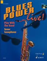 Blues Power Live: Play with the Band - hacer clic aqu�