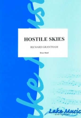 Hostile Skies - hacer clic aqu�