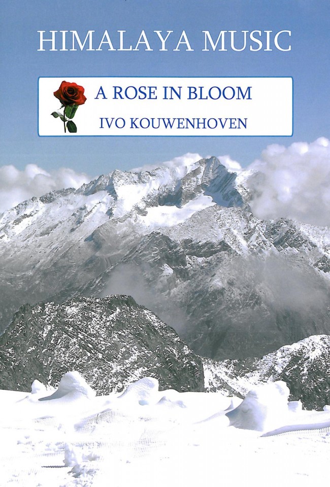A Rose in Bloom - hacer clic aqu