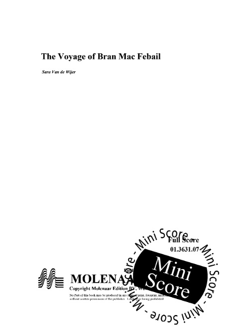 Voyage of Bran Mac Febail, The - hacer clic aqu