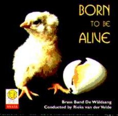 Born to be Alive - hacer clic aqu
